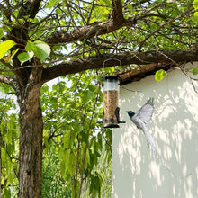 Load image into Gallery viewer, TBD04268125_5.jpg@fe693ed8600581314cd2d2a5683bb191
