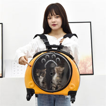 Load image into Gallery viewer, TBD0426893501C_6.jpg@2193e503ea22cac8c39456a33af2ef14
