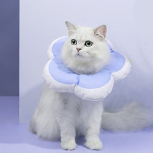 Load image into Gallery viewer, TBD0426969902B.jpg@265603cea52d34a8073161512476d7a9
