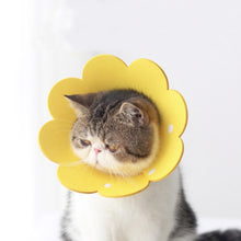 Load image into Gallery viewer, TBD0427043102A.jpg@015c6c25f2605a1e2ed9af9d7705e452
