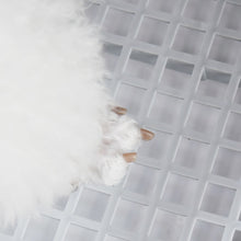 Load image into Gallery viewer, TBD049249602_5.jpg@65c15010ef0e12ac34f32fd8824e8355
