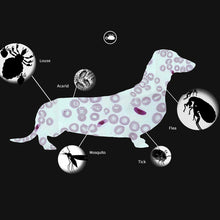 Load image into Gallery viewer, TBD0493959002_6.jpg@bacd53e767d7f6569cb008d40577fb42
