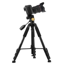 Load image into Gallery viewer, TBD0531385801B_9.jpg@157766b078bde007555c4852e373e754
