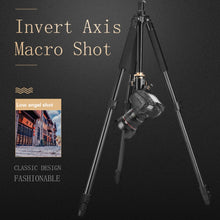 Load image into Gallery viewer, TBD0531798301_7.jpg@7a5f1af0ce74062e512a52d047ae50e3
