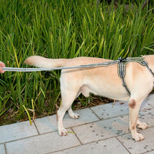 Load image into Gallery viewer, TBD0532464701A_11.jpg@ab0cd79e0b85bd210bf250520e65c0a7
