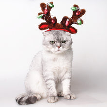 Load image into Gallery viewer, TBD0534070702_3.jpg@b9db696172d0fa8177b784896bf31309

