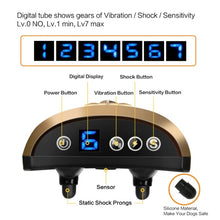 Load image into Gallery viewer, TBD05371981_4.jpg@ddaec01c854ab121b5107e263c63254e
