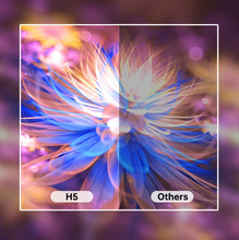 Load image into Gallery viewer, TBD0549465501_B3.jpg@f773fcb6d01a0e84e83c6878e763507d
