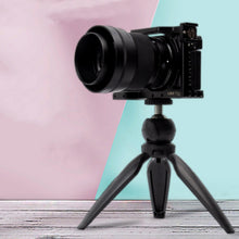 Load image into Gallery viewer, TBD05497121_6.jpg@93383c695b952751b392869288309742
