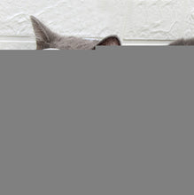 Load image into Gallery viewer, TBD0553277402B.jpg@6b25677cbc58394dea62edf5942a67f9
