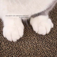 Load image into Gallery viewer, TBD0556526801_B4.jpg@57a93af0e430c7dba6743a034102a5ea
