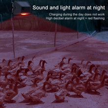 Load image into Gallery viewer, TBD05573239_16.jpg@d8ead6956a11e9806753d56535bcf266
