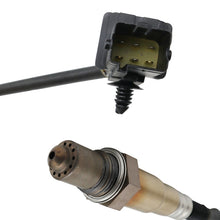 Load image into Gallery viewer, TBD05597319_3.jpg@9dfa6d64a6580bbeb59ba2a171d060f8
