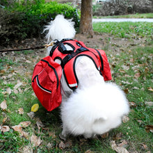 Load image into Gallery viewer, TBD0559943601_B6.jpg@e368628e863f9a7cd27511b45c4da2a2
