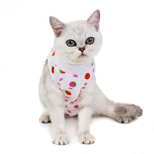 Load image into Gallery viewer, TBD0570090603C_2.jpg@fbba4a88f4f67b6f2a32512ebd1fcaed
