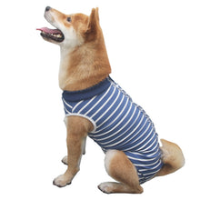 Load image into Gallery viewer, TBD0570091203A.jpg@1816f65b00e8bdfd2a3f5e3f7cf29b41
