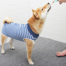 Load image into Gallery viewer, TBD0570091207_B6.jpg@ad704d90af62ce28cb0e289c4784f7c8
