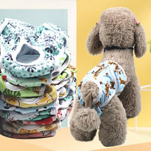 Load image into Gallery viewer, TBD0571980902_B3.jpg@55f46467a78fc48a9e84a5c9e1b76fbf
