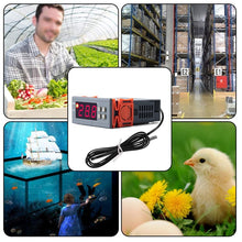 Load image into Gallery viewer, TBD05732739_6.jpg@f3e95d0fcfeb5494a9e9f7580d4323ff
