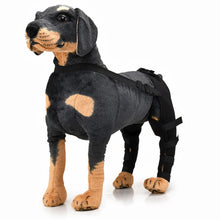 Load image into Gallery viewer, TBD0583686701A_1.jpg@f0f7fe51cf7a63818b8ffb6022516ff7
