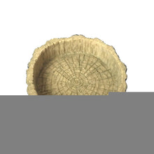Load image into Gallery viewer, TBD0589162403.jpg@bfdecff104add5ec75b6c3b565d9c693
