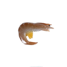 Load image into Gallery viewer, TBD0595472001B.jpg@04bf2229532a66e9d7492f42985c987f
