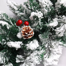 Load image into Gallery viewer, TBD0597296101_B6.jpg@522b5d1b76519f22b0eb8a96ad6d9bcd
