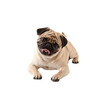 Load image into Gallery viewer, TBD0601614002.jpg@ddbd897f284e22431dd35eac5c08d3ac
