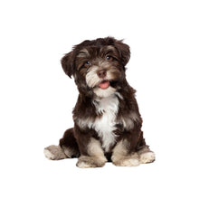 Load image into Gallery viewer, TBD0601614003.jpg@86a0362e6fd7020c9e7eb5e77bc66c28
