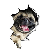 Load image into Gallery viewer, TBD0601636401F.jpg@de535ca3e7b716427aa04d5e1d35d4d9
