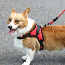 Load image into Gallery viewer, TBD0601916004_B4.jpg@239d780cbd29e11f7c294cc8930cd8ce
