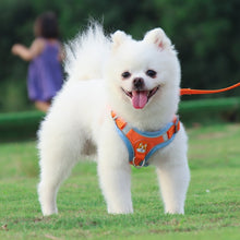 Load image into Gallery viewer, TBD0601917204_B5.jpg@d88399bb849926037c6f0fdbadf3ae1f
