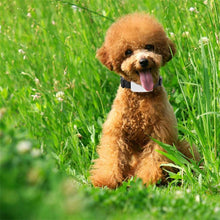 Load image into Gallery viewer, TBD06020122_5.jpg@b3ae668f30adc7bde428008e0440f7a1
