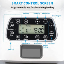 Load image into Gallery viewer, TBD0602052102_B4.jpg@de2bea2115eb83c48b4b461a157a796e
