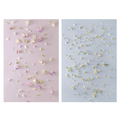 TBD0602108701C.jpg@7c7ac46a1f4cd28cfa3f4f19a34f240c