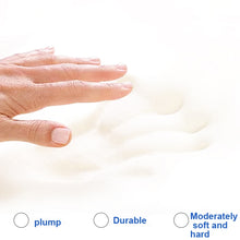 Load image into Gallery viewer, TBD0602136301_B3.jpg@e65abc11845624967275476c9a10c3c2
