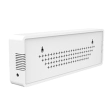 Load image into Gallery viewer, TBD06023302_3.jpg@3600ca56ae8225cbfbe90efb4fe29354
