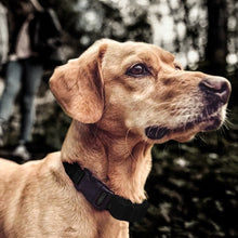 Load image into Gallery viewer, TBD0602464901_B6.jpg@ec851a104de4acaa85cff75eb17d6973
