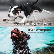 Load image into Gallery viewer, TBD0602465201_B6.jpg@cb51373b0a6782fc673365a9a9eef440
