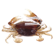 Load image into Gallery viewer, TBD0602485503_1.jpg@e6c260cba3ab3eb9218d55a443c4ae19
