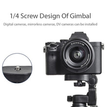 Load image into Gallery viewer, TBD06028974_3.jpg@130d37366b2a8d9376011646c2bd149c
