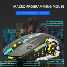 Load image into Gallery viewer, TBD0603022901_B2.jpg@8add09a75a6147f549395ffc2a6e97f2
