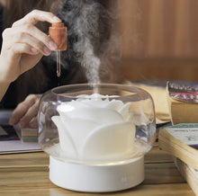 Load image into Gallery viewer, TBD0603040101_B5.jpg@aa969a735bcf894bb0b826008e6ec427
