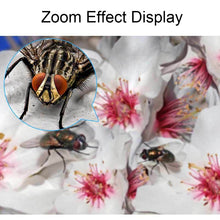 Load image into Gallery viewer, TBD0603230401_B3.jpg@b44127cb27d94652cc6d23d5f7eaa6ef
