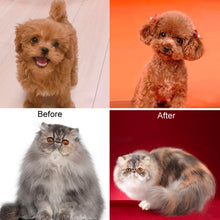 Load image into Gallery viewer, TBD0603256701_B6.jpg@92520718c76eb420630b190353fc86f7
