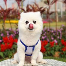 Load image into Gallery viewer, TBD0603490603C_4.jpg@710be3626e1fbc515487282c8ab7ca3d
