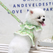 Load image into Gallery viewer, TBD0603491201C.jpg@3ce6ba45b0a07117ba467c57c39cf0c4
