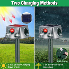 Load image into Gallery viewer, TBD0603516801_B6.jpg@921b6b848702b8f0c90fdb0e0c6ab12e
