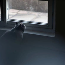 Load image into Gallery viewer, TBD0603519501_B6.jpg@986204bf81dfc0c547b2f7d746bdbfcd
