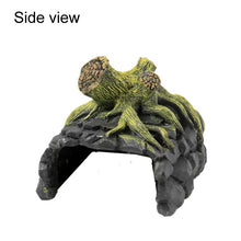 Load image into Gallery viewer, TBD0603557502_2.jpg@75eb4348ca3dbb3dae81096f5cb83c67
